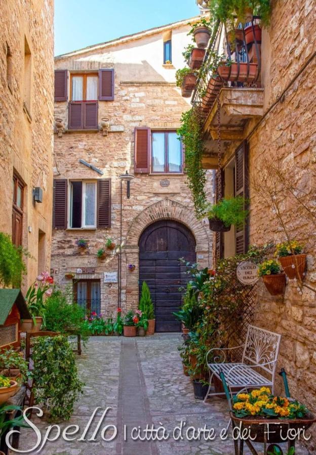 Nel Vicolo Dei Baci - Casa Vacanze Al Bacio スペッロ エクステリア 写真